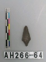 藏品(帶鋌打製石鏃)的圖片